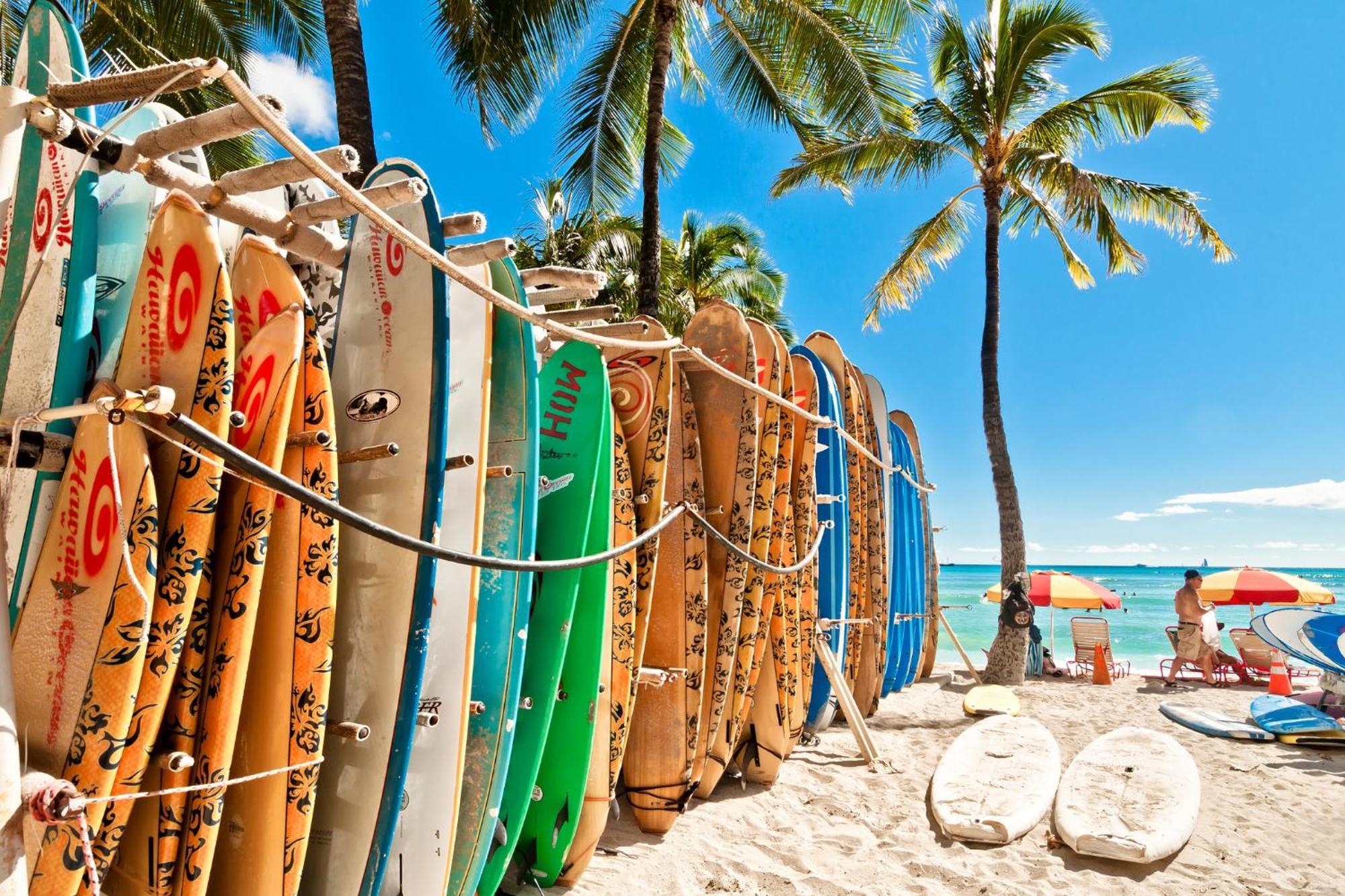Aloha Vibes With Ocean Views, Near Beach & Parking! Honolulu Exteriör bild