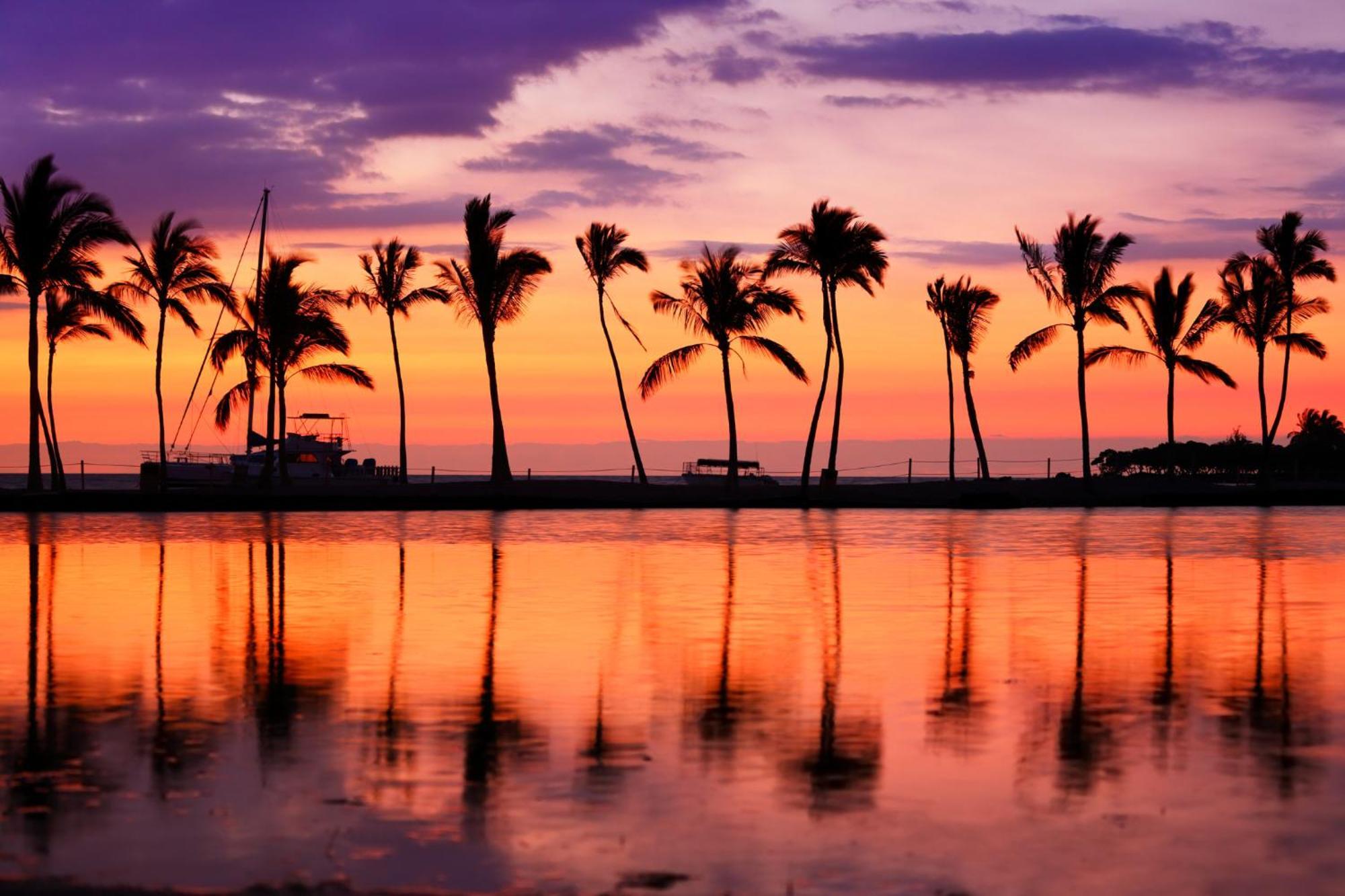 Aloha Vibes With Ocean Views, Near Beach & Parking! Honolulu Exteriör bild