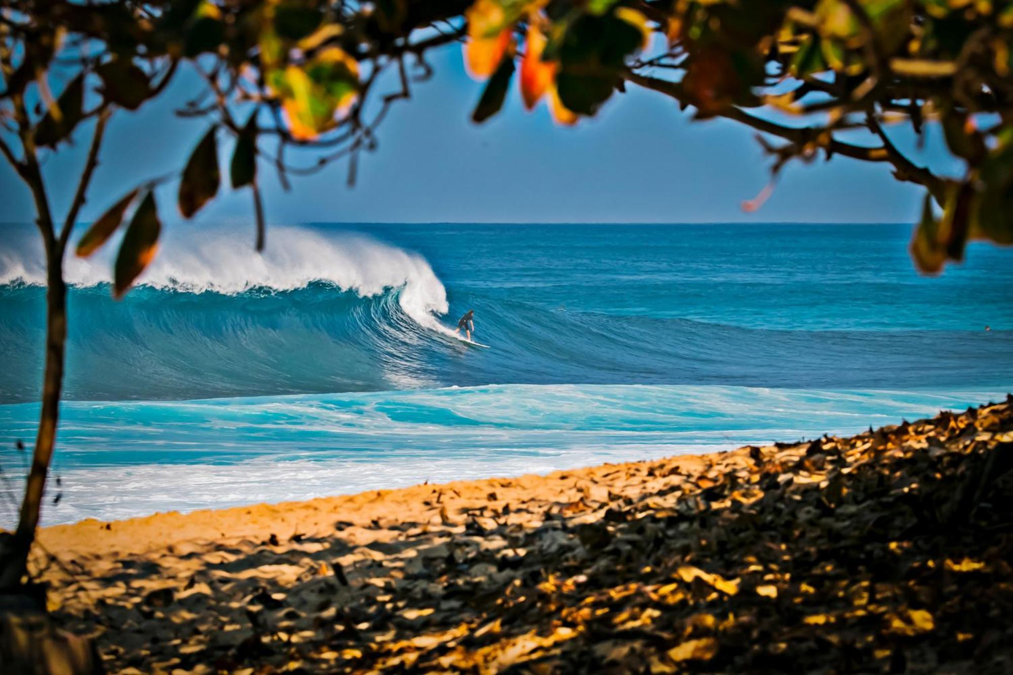 Aloha Vibes With Ocean Views, Near Beach & Parking! Honolulu Exteriör bild
